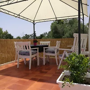 https://terrazza-al-mare.sicilyhotelsitaly.net